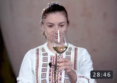 11. Analiza Vizuală
