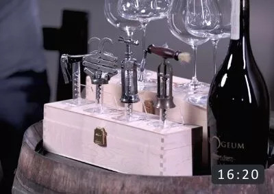 5. Tirbușoane Accesorii