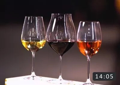 7. Clasificare și Caracteristici