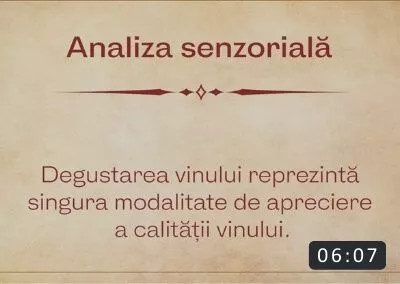 8. Analiza Senzorială