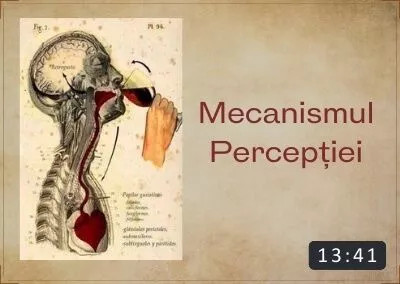 10. Mecanismul percepției