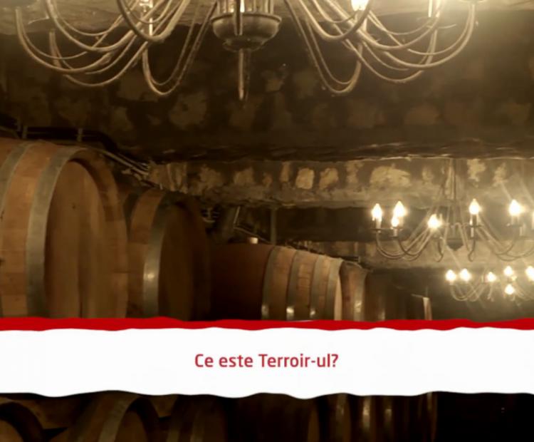 Dictionar Terroir
