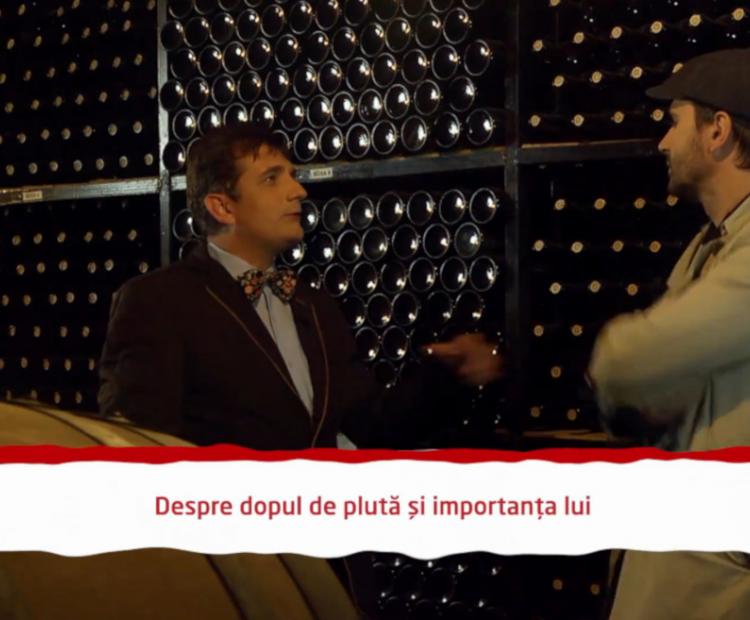 Dictionar despre dopul de pluta