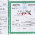 Certificari